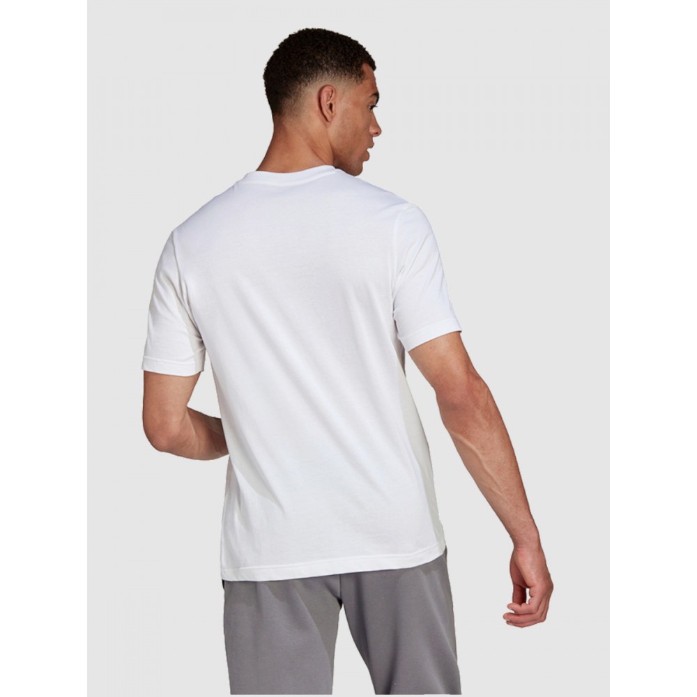 Koszulka Męska Adidas T-shirt Bawełniany Biały
