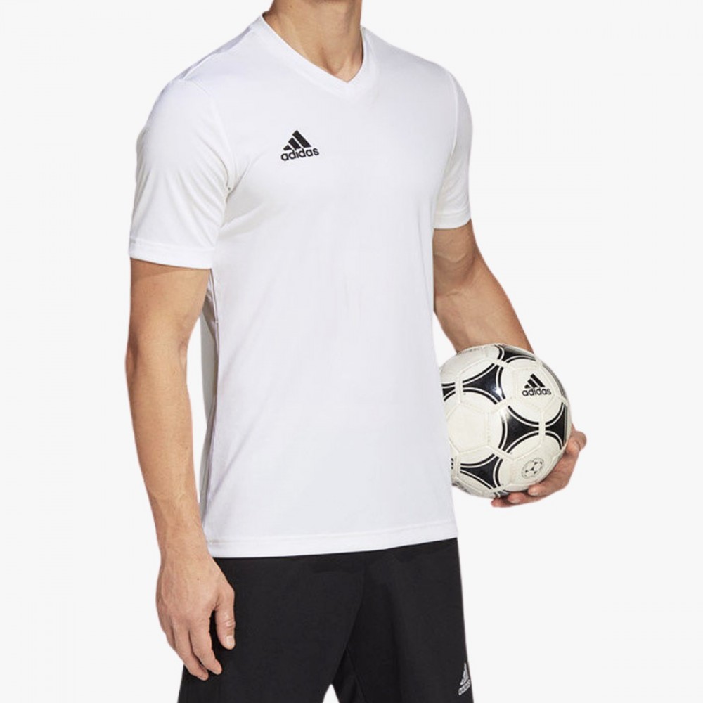 Koszulka Męska Adidas T-shirt Biały Treningowy