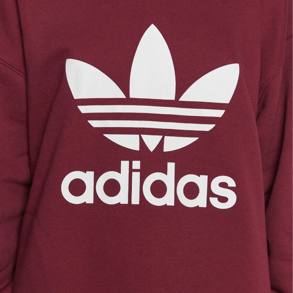 https://darcet.pl/51015-large_default/bluza-damska-adidas-originals-trefoil-zielona-z-kapturem.jpg